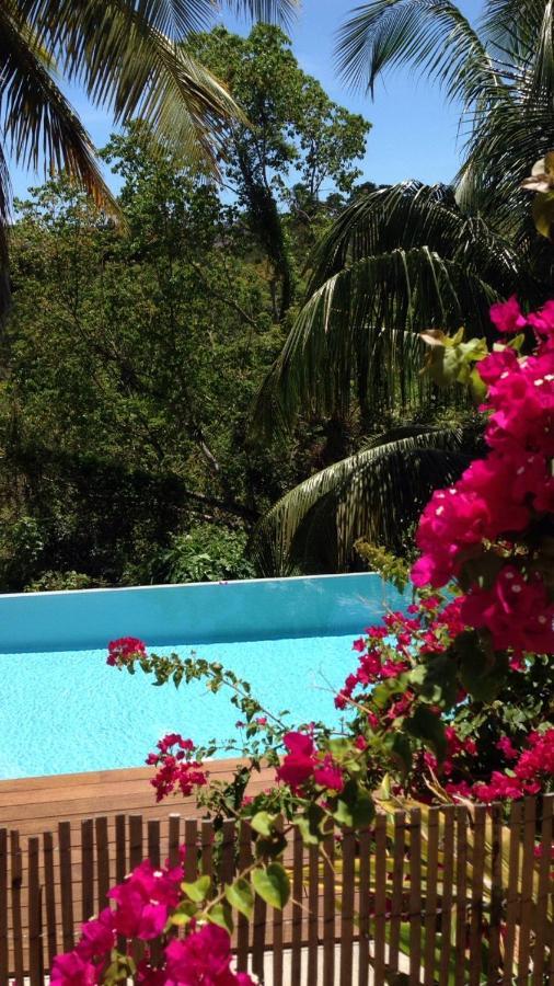 Confortable T1 Le Gosier, Wi-Fi, Piscine Dans Gite Le Gosier  Exterior photo